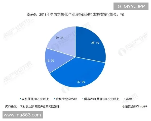 田径运动发展现状与未来趋势探索：从青少年培养到职业竞技的全面分析